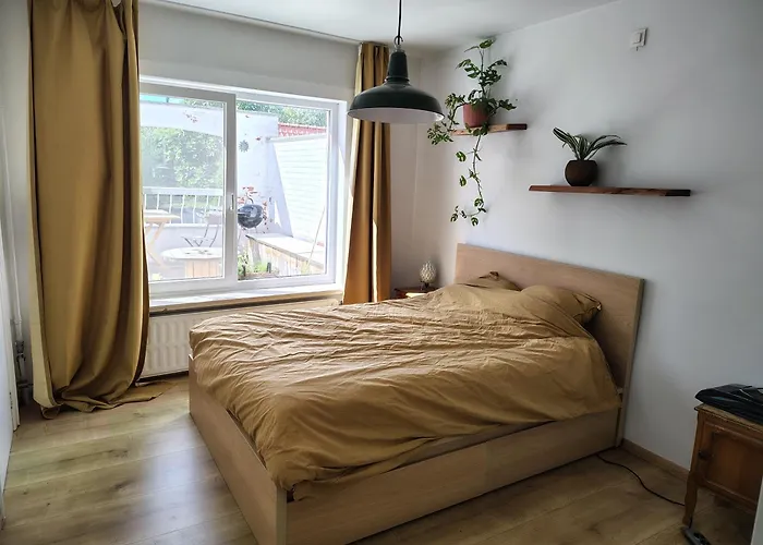 Cosy With Big Quiet & Sunny Terras